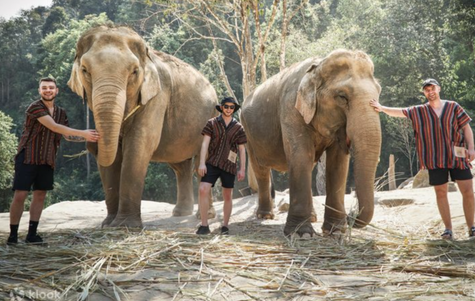 Photo of Elephant Jungle Sanctuary Chiang Mai 2/3 by 